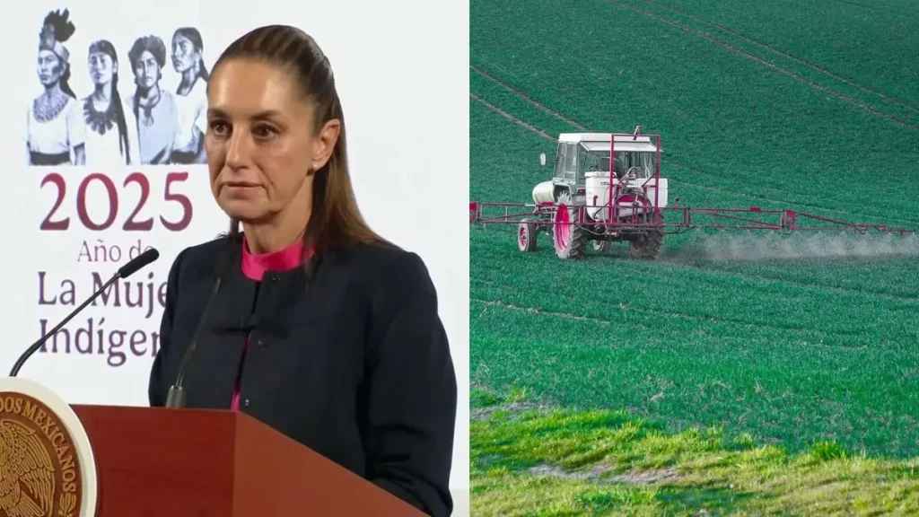 prohibición de plaguicidas