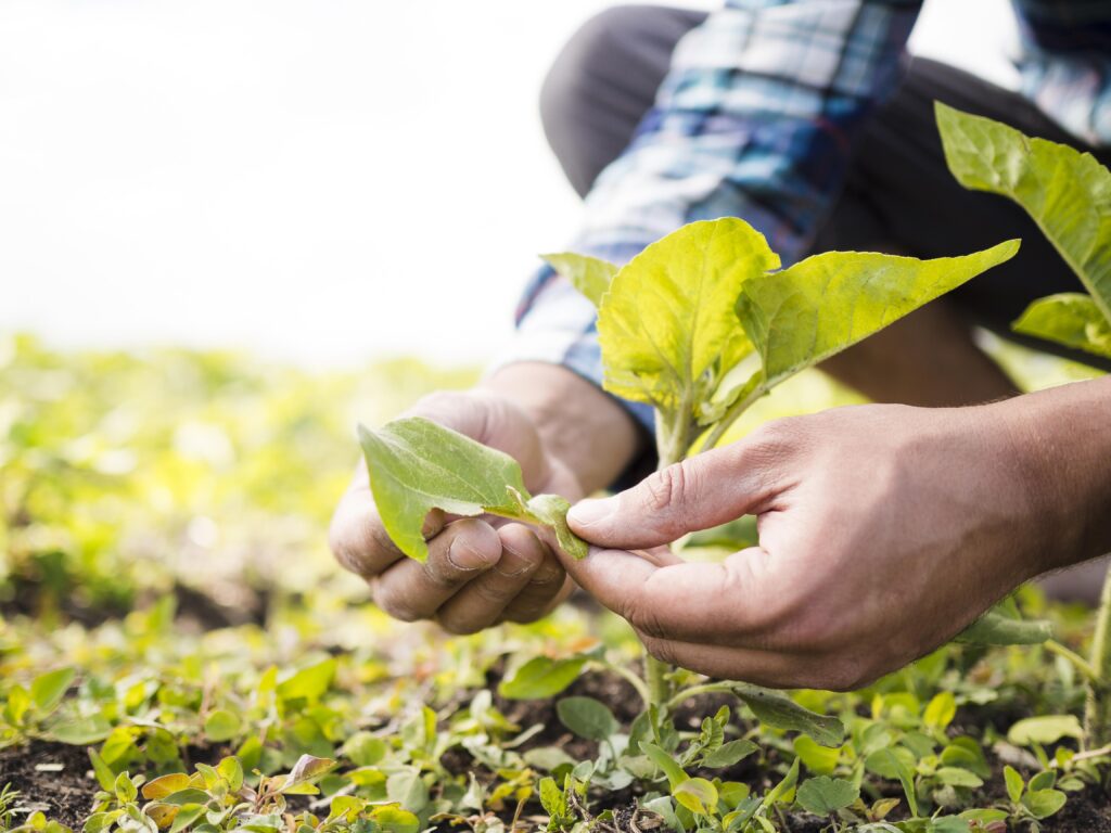 visionarios del agrinegocio