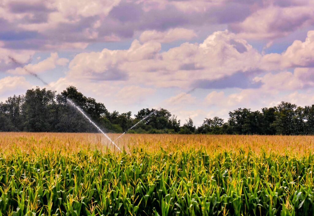 los surfactantes agrícolas