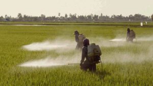 plaguicidas prohibidos