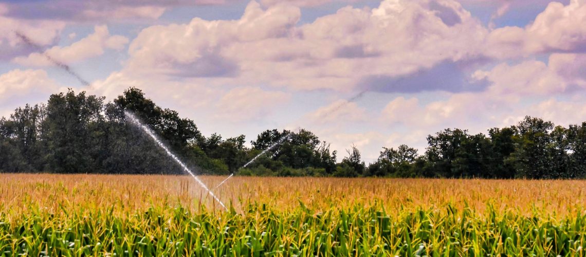 carbonatos y bicarbonatos