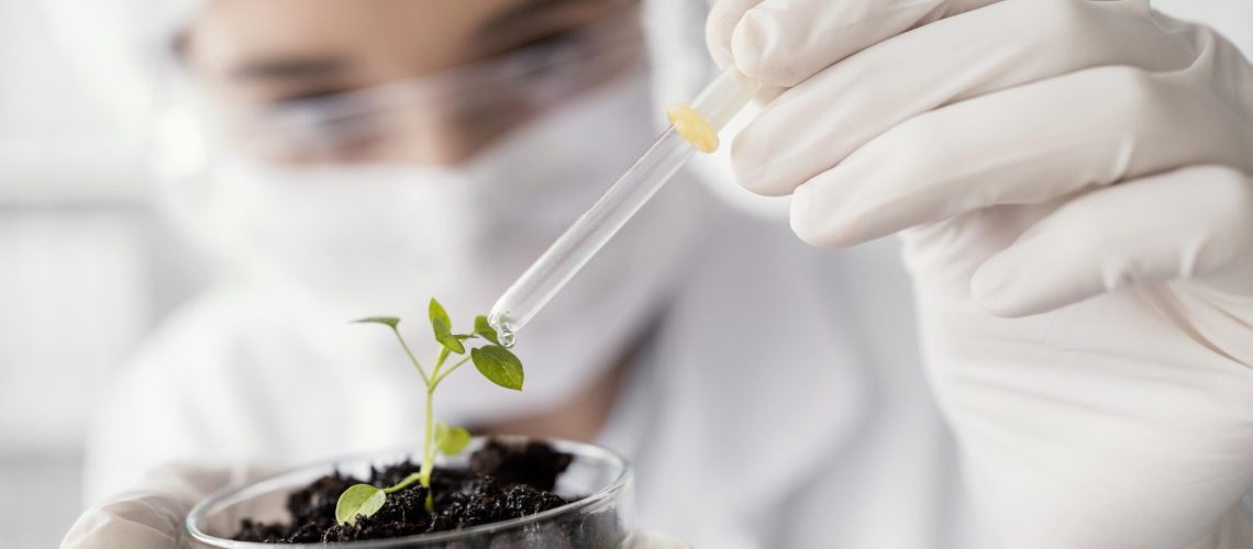 productos innovadores en México