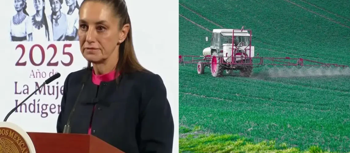 prohibición de plaguicidas